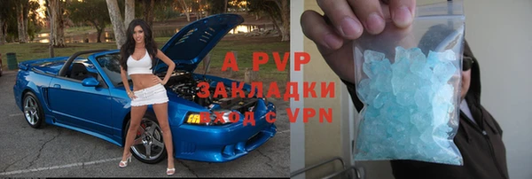 крисы Абаза