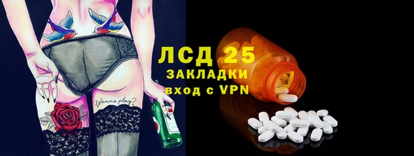 крисы Абаза