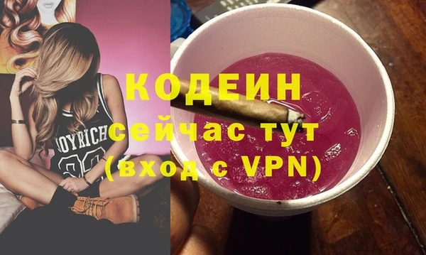 прущие грибы Переславль-Залесский