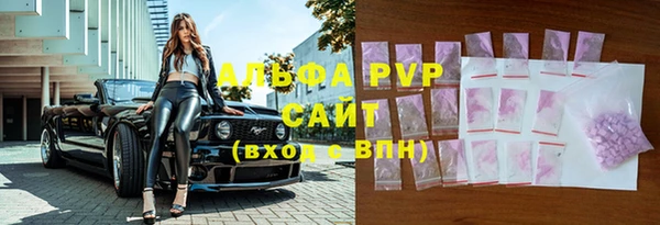 крисы Абаза